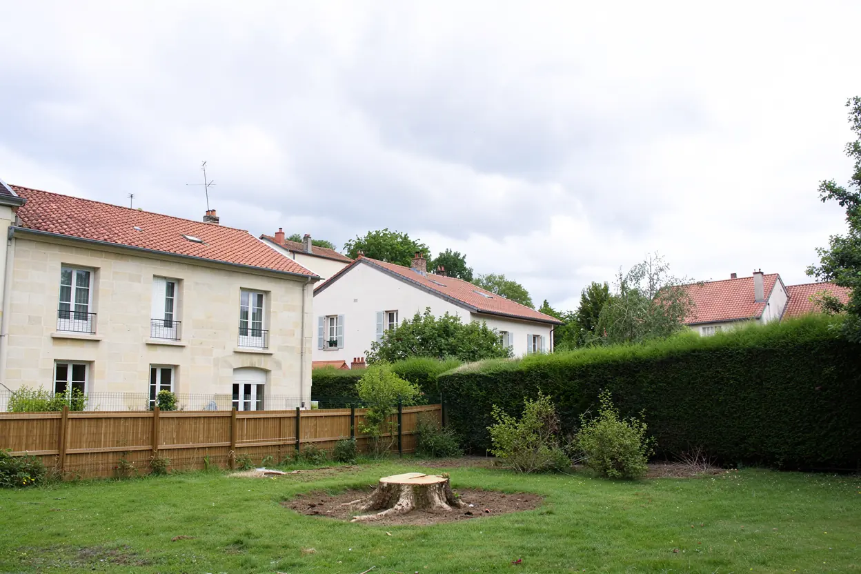 Zone préparée avant abattage à Poitiers