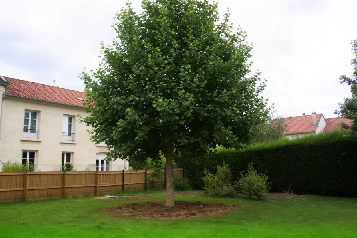 Arbre démonté près d'une clôture à Poitiers