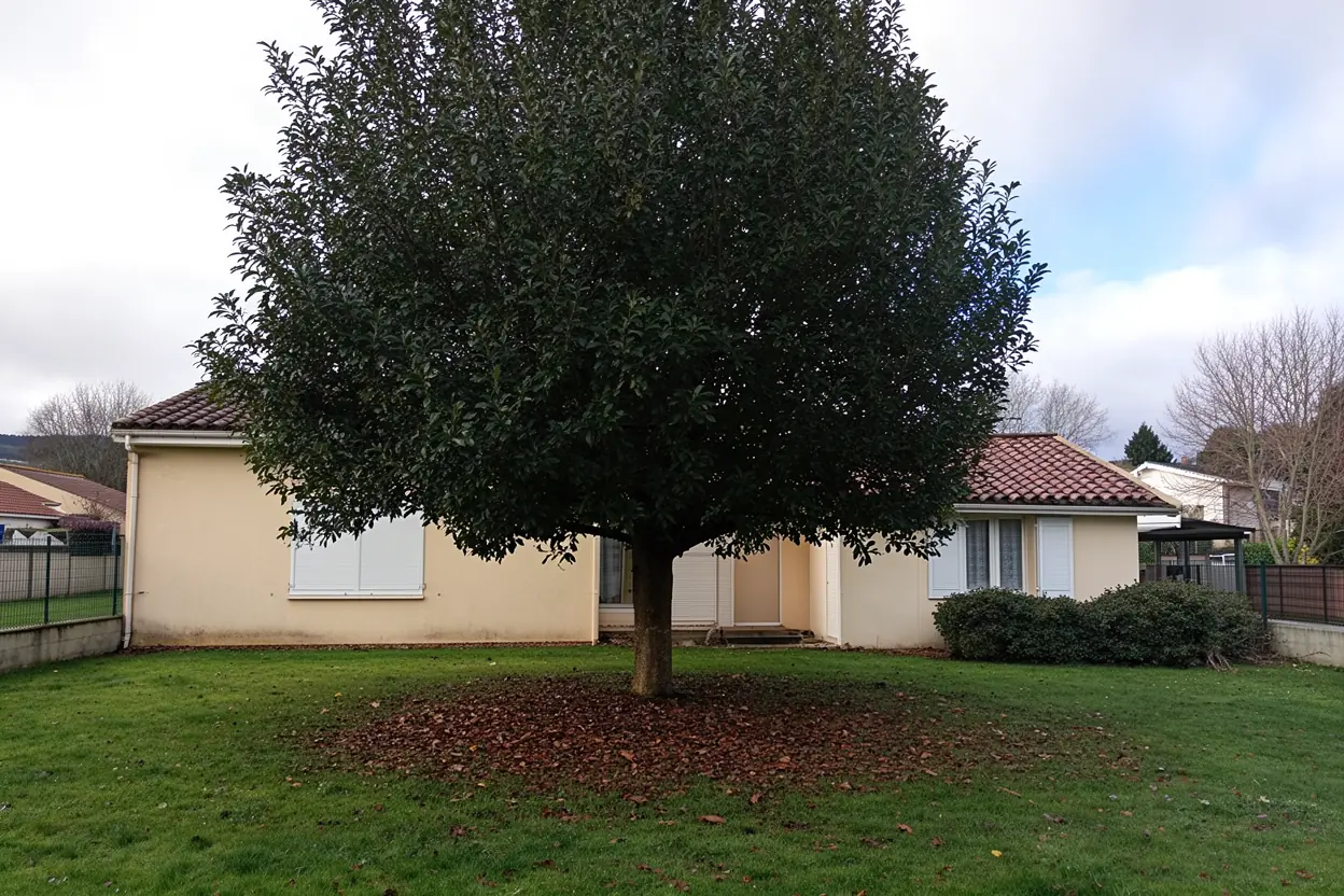 Arbre taillé et accès dégagé à Chasseneuil-du-Poitou